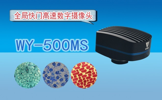 全局快门高速数字摄像头WY-500M...